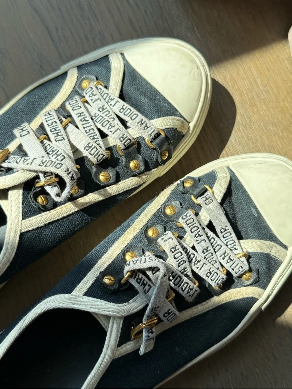 Dior Black and White Classic Sneakers